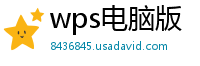 wps电脑版